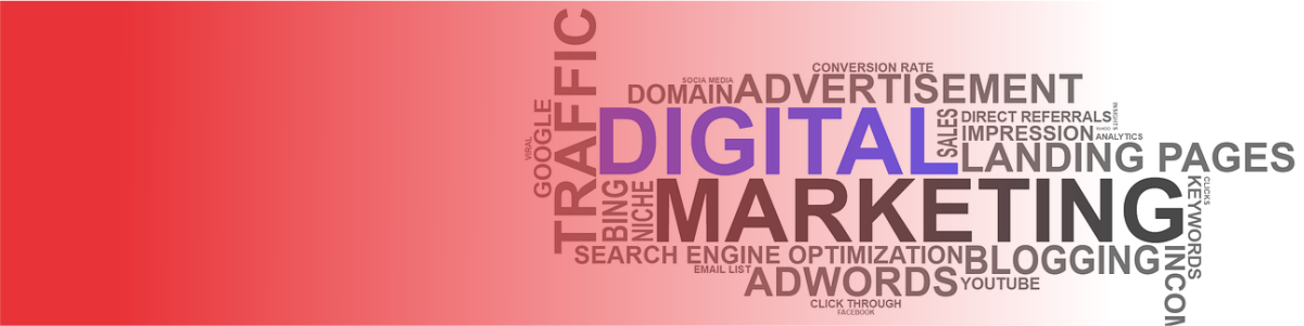 Digital Marketing Skills - Training